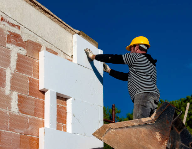Best Specialized Insulation Services in Leslie, MI