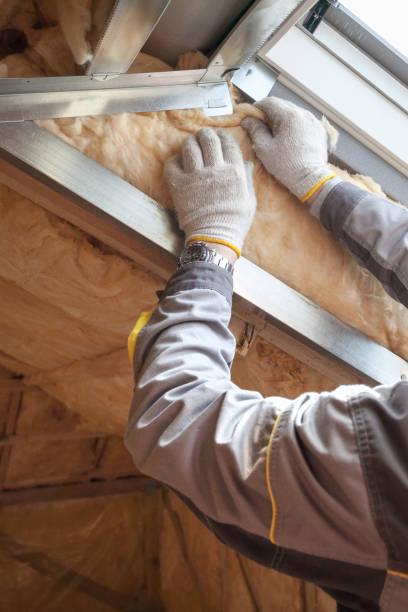 Best DIY Insulation Kits and Guidance in Leslie, MI